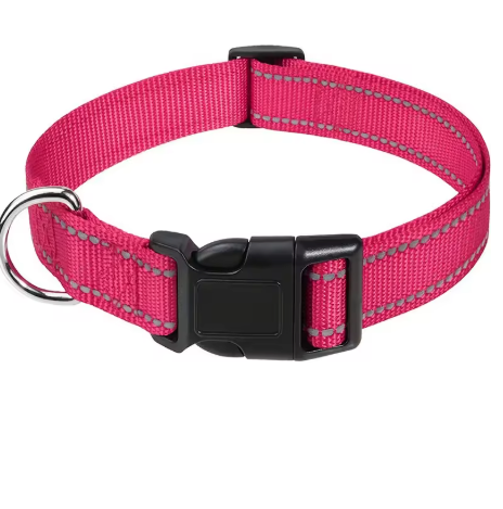 Pawly™ Collar – Reflective Nylon