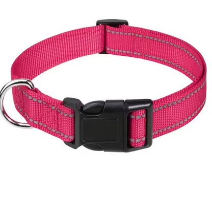 Pawly™ Collar – Reflective Nylon