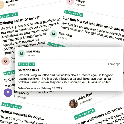 Pawly™ Flea & Tick Collar – 12 Months of Natural Protection for Dogs